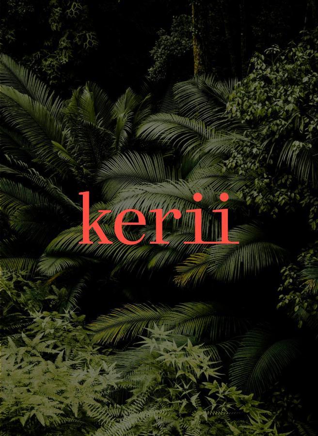 Kerii - Adults Boutique Hotel 萨尔巴赫 外观 照片